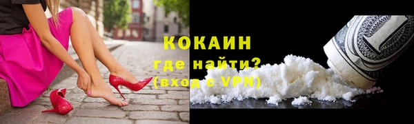 ешки Арсеньев