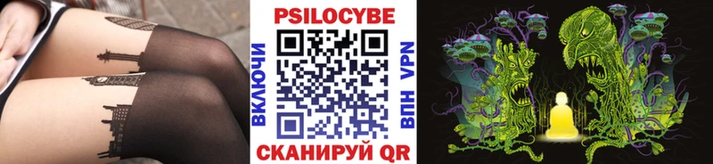 Галлюциногенные грибы Psilocybine cubensis  Фрязино 